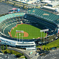McAfee Coliseum